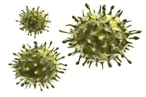 Il virus H7N9 dell’aviaria è (stealth = furtivo) invisibile al sistema immunitario