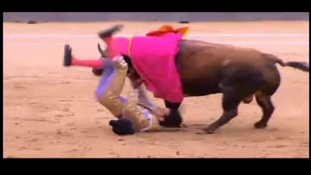 Sangue nell’arena de plaza de toros de Las Ventas a Madrid