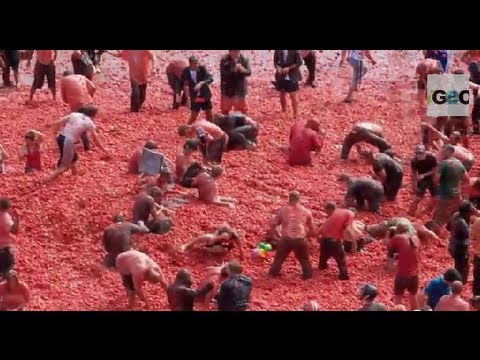 Buñol 2014 / Tomato War: La Tomatina