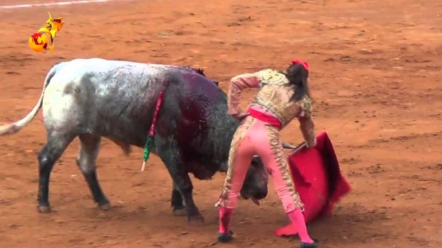 Torera messicana ferita durante corrida