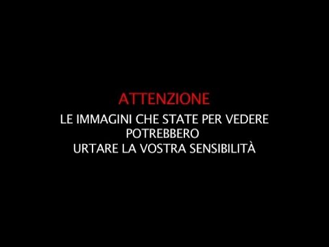 ISIS nuovo video: ragazzino di 10 anni spara a due kazaki accusati di essere “spie russe”