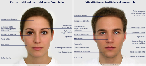 Ricerca sull'Attrattività - eDarling Doppio clic per ingrandire