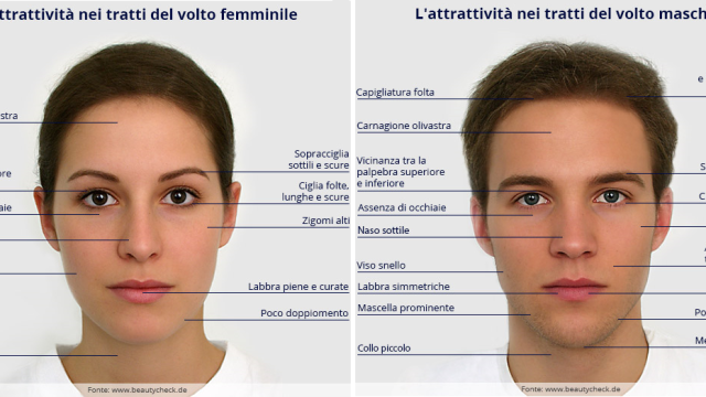 L’Attrattività nei tratti del volto