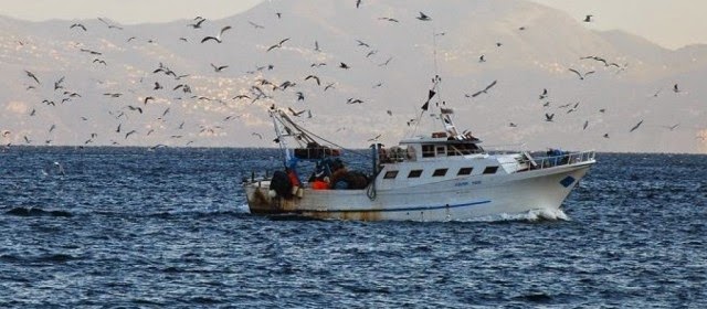 Tumbiolo chiede allo Stato Italiano il pattugliamento delle acque davanti alla Libia