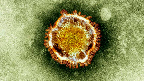 MERS CoV foto da microscopia elettronica