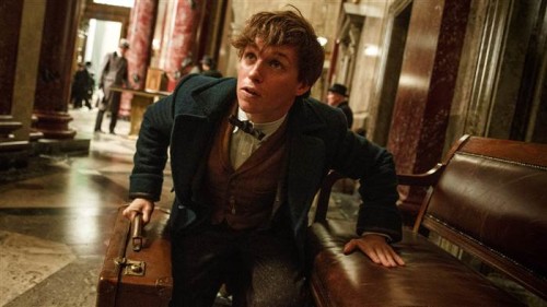 Eddie Redmaye interpreta Newt Scamandro nel nuovo film tratto dall'omonimo soggetto di J.K. Rowling "Fantastic Beasts and Where to Find Them"