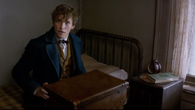 “Fantastic Beasts”: torna il magico mondo di J.K. Rowling