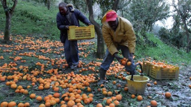 PIL sommerso vale 540 miliardi:1/3 dell’economia italiana viaggia in nero