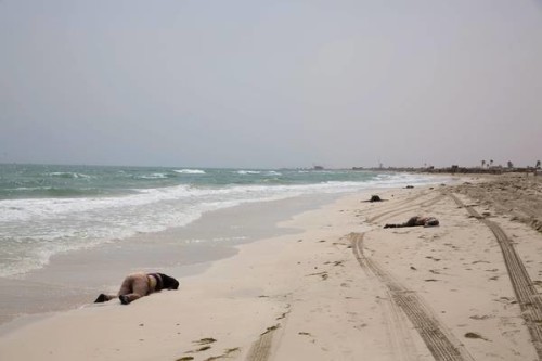 Migranti: 117 corpi recuperati in Libia, anche 5 bimbi. Nella foto: Corpi di migranti si arenano su una spiaggia dopo aver galleggiato fino, a Zuwarah, ad ovest di Tripoli, Libia 02 giugno 2016. Secondo i media citando funzionari della Mezzaluna Rossa, almeno 85 corpi sono naufragati sulle spiagge libiche questa settimana. Fonti ANSA / foto Mohame Ben Khalifa