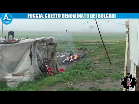 IL “GHETTO BULGARO” DI BORGOMEZZANONE