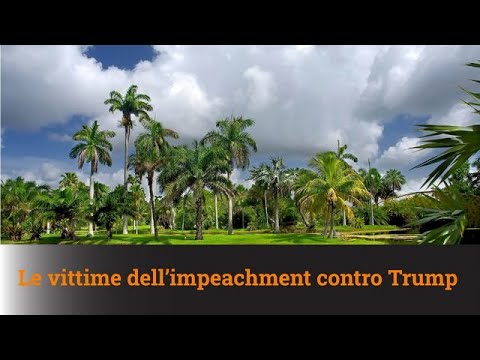 LE VITTIME DELL’IMPEACHMENT CONTRO TRUMP