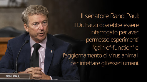 il-senatore-rand-paul-interroga-il-dr-fauci