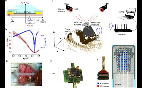 NANOCOMUNICAZIONI WIRELESS ATTRAVERSO IL GRAFENE