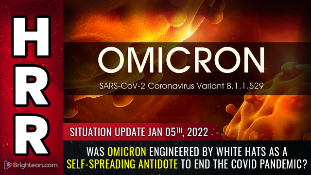 Omicron è stato progettato come antidoto ad autodiffusione per porre fine alla pandemia di covid?