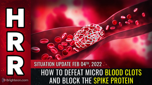 come-sconfigurare-i-micro-coaguli-di-sangue-e-bloccare-la-proteina-spike-proteggendo-la-qualita-del-tuo-sangue
