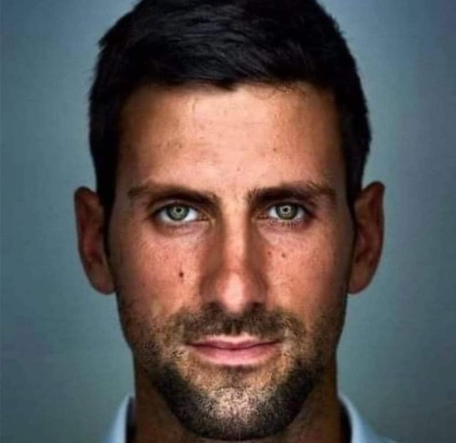 novak