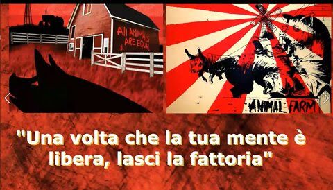 “Una volta che la tua mente è libera, lasci la fattoria”