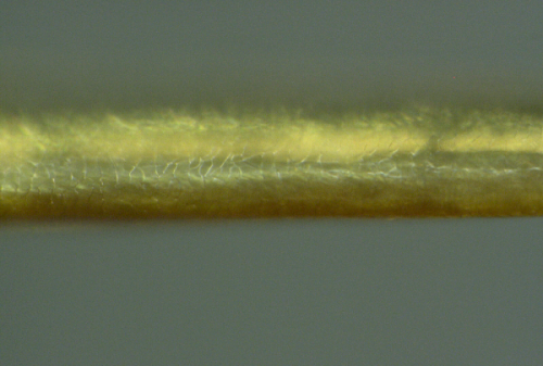 nanowire-clot-1000x-png