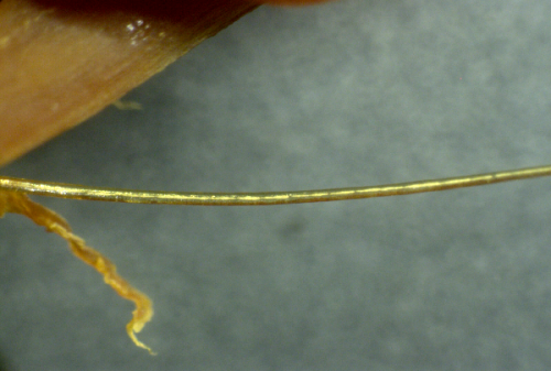 nanowire-clot-100x-png