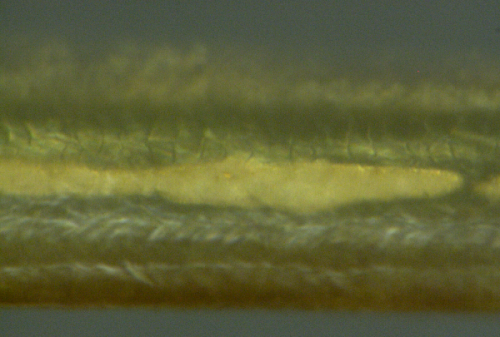 nanowire-clot-1500x-png