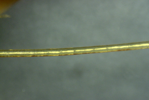 nanowire-clot-200x-png