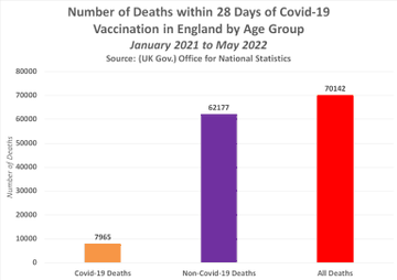 numero-complessivo-di-decessi-entro-28-giorni-dalla-vaccinazione-contro-il-covid-19-in-inghilterra-tra-il-1-gennaio-2021-e-il-31-maggio-2022