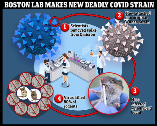 boston-lab-created-new-strain-covid