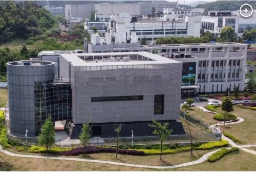 WUHAN BIOLAB 11.03.2023