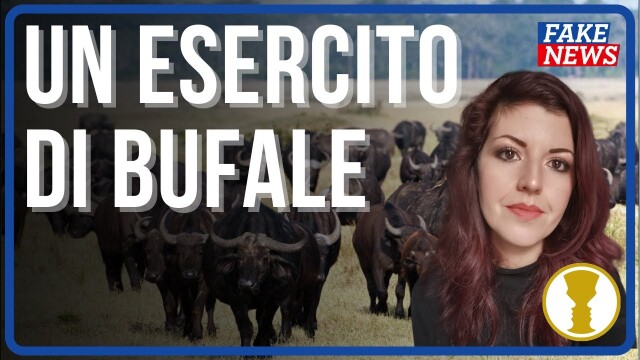 UN ESERCITO DI BUFALE – Enrica Perucchietti